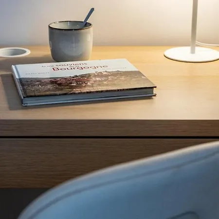 L'orangeraie Appartement Dijon