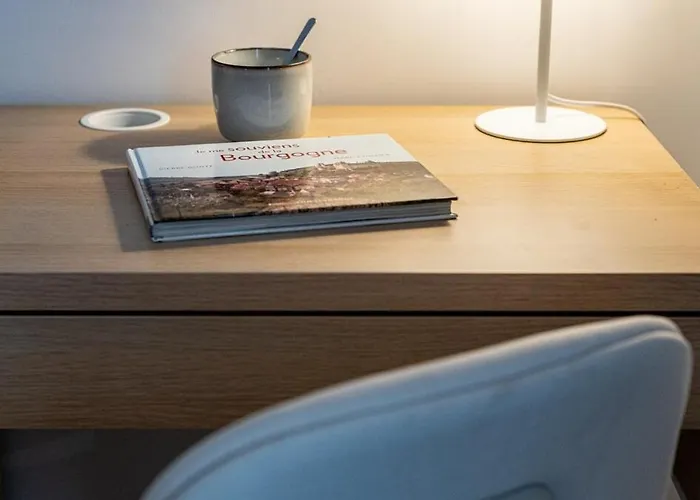 L'orangeraie Appartement Dijon